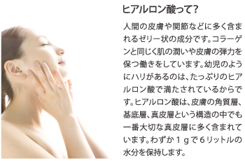 ヒアルロン酸って?
